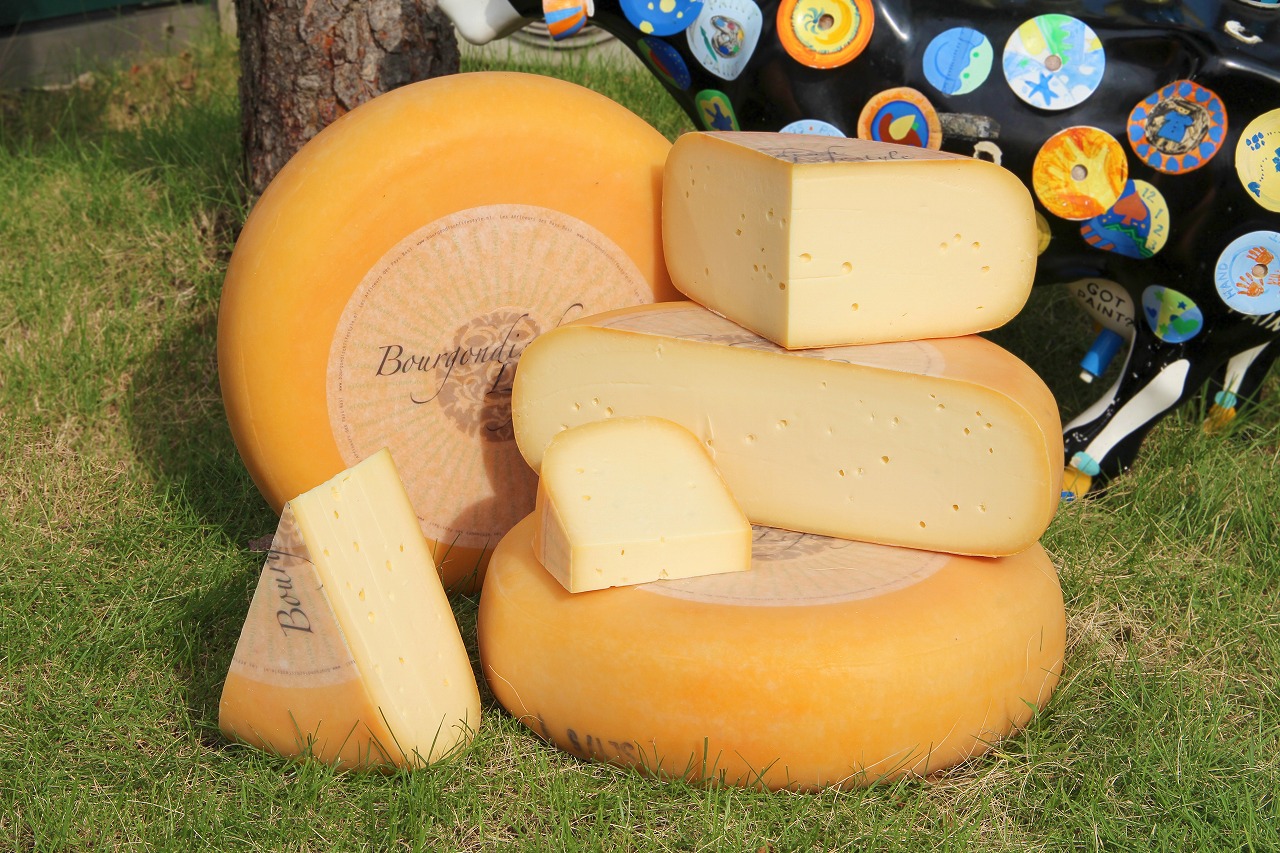 農家製ゴーダドゥメ　6ヶ月