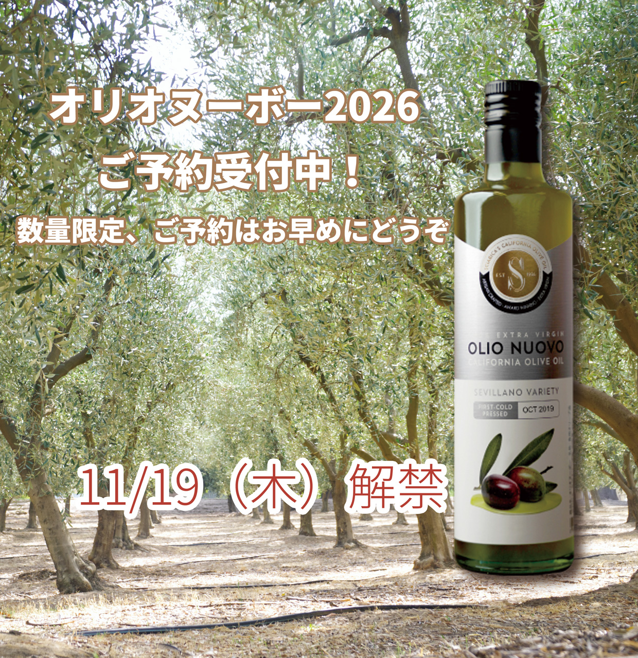2026オリオ