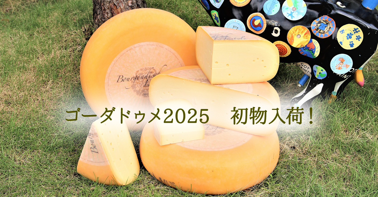 ゴーダドゥメ2025